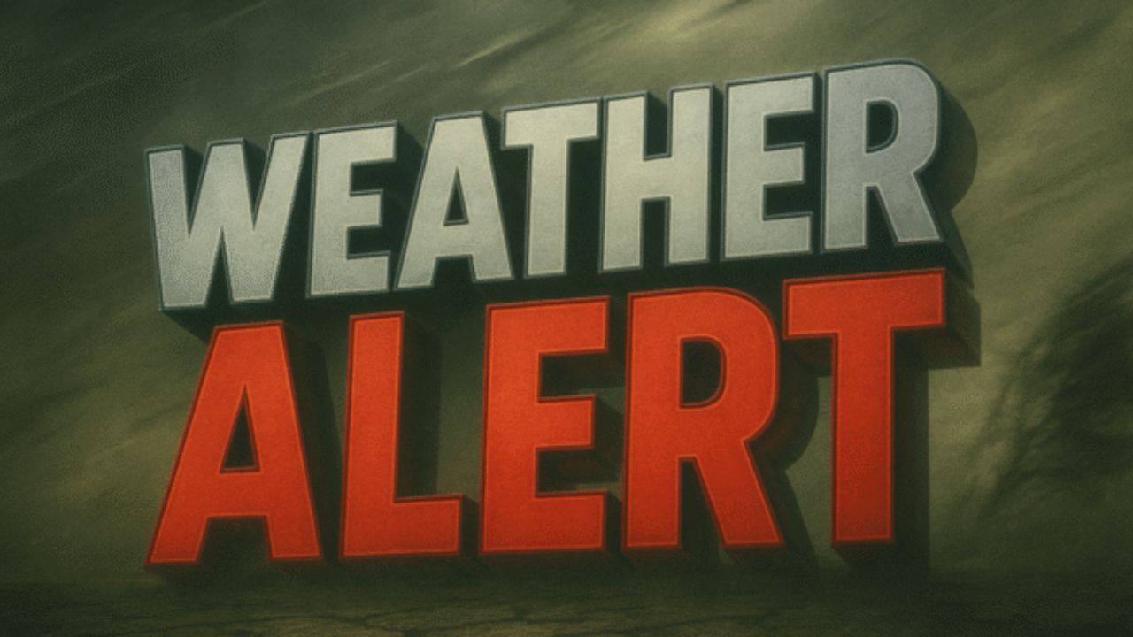 New York Weather Forecast: November Chill Builds Through Monday with Rain Chances Ahead