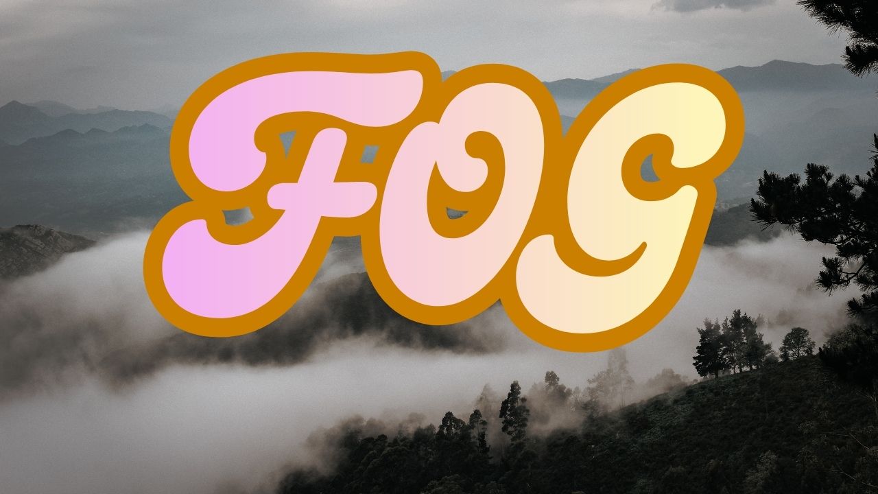 Ohio–Kentucky Fog Alert: Dense Fog Advisory in Effect Until 8 A.M. Monday