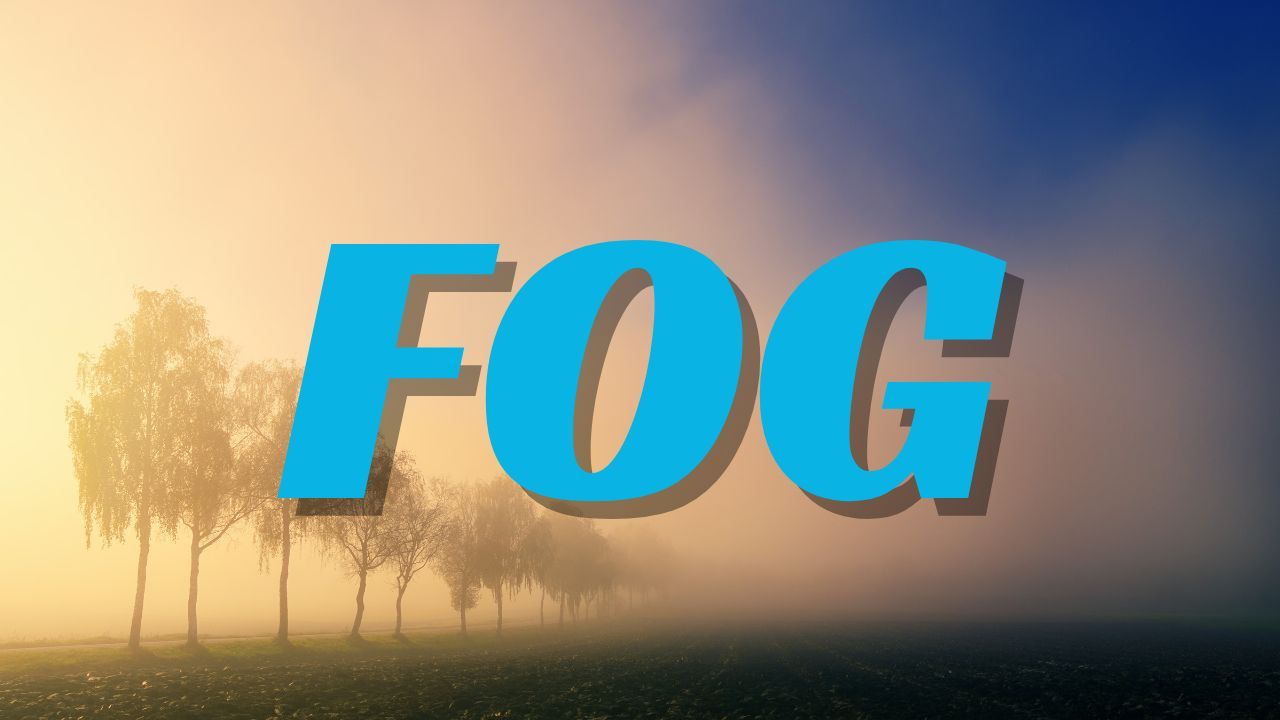 Pittsburgh Weather Alert: Dense Fog and Weekend Rain Could Slow Thanksgiving Travel