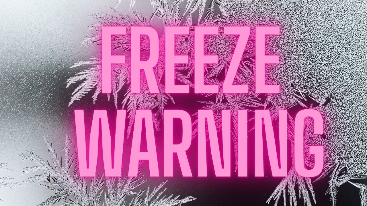 South Carolina–Georgia Freeze Warning: Temperatures to Drop Near 30 Degrees Overnight