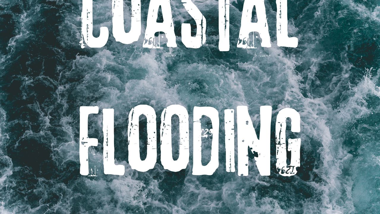 Washington Coast Braces for Coastal Flooding and 25-Foot Waves, Officials Warn