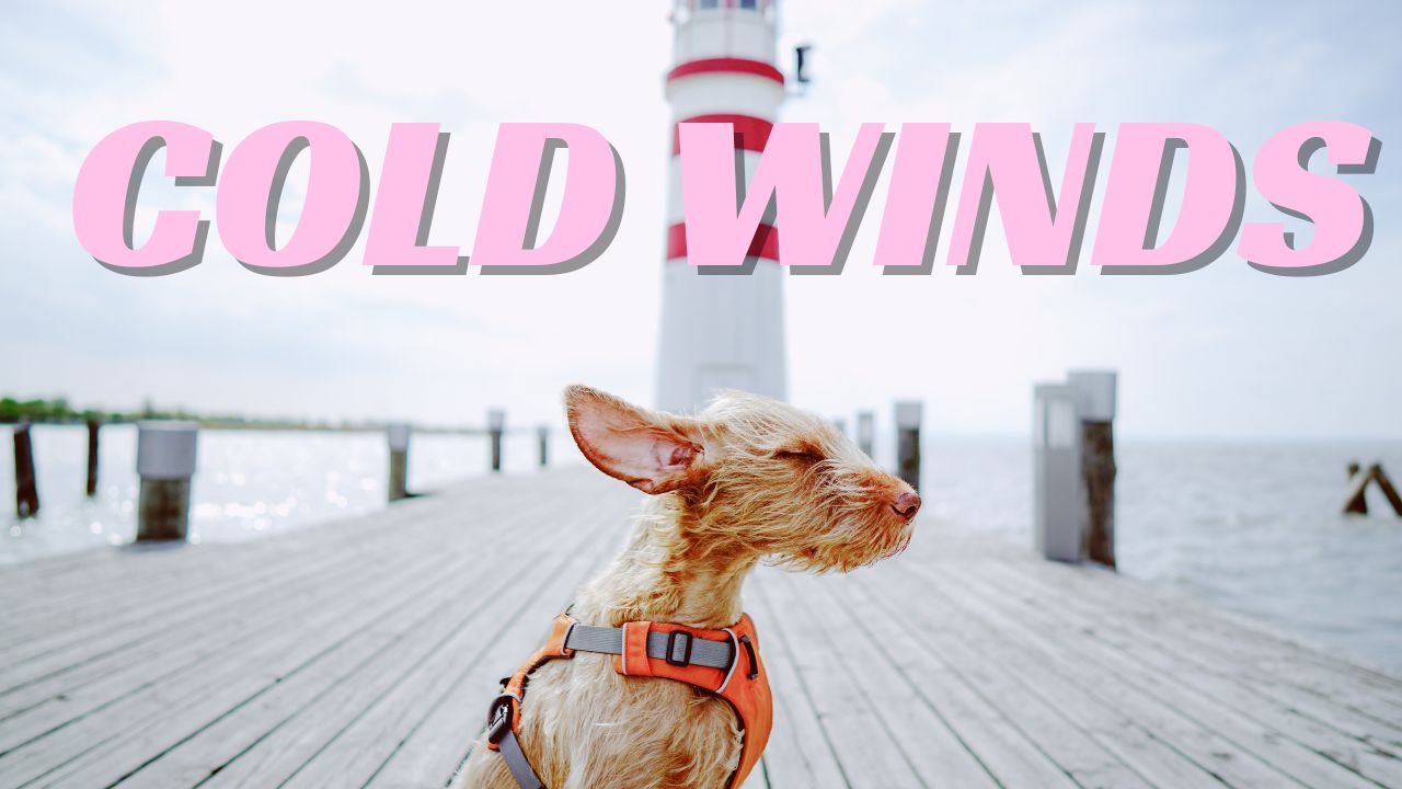 West Virginia Braces for Cold Thanksgiving as Mild Showers Shift to Early Winter Chill