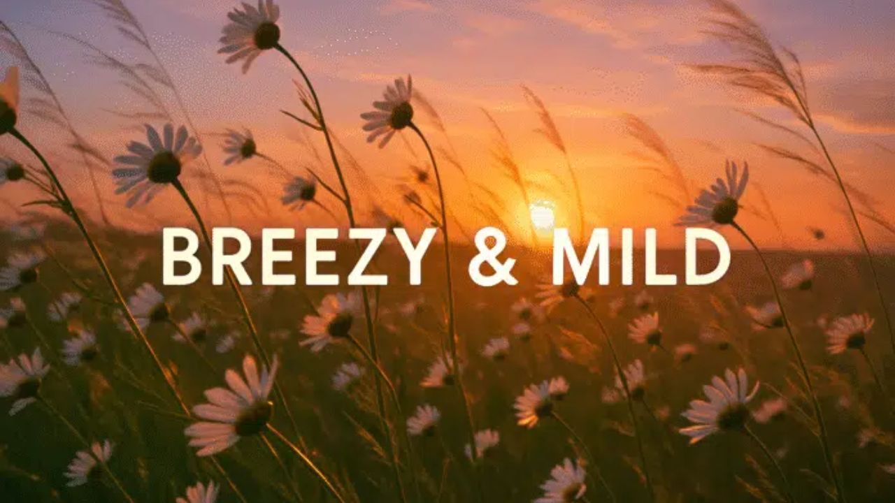 Wilmington, NC Weather Alert: Breezy Weekend Pattern Before Thanksgiving Travel Rush