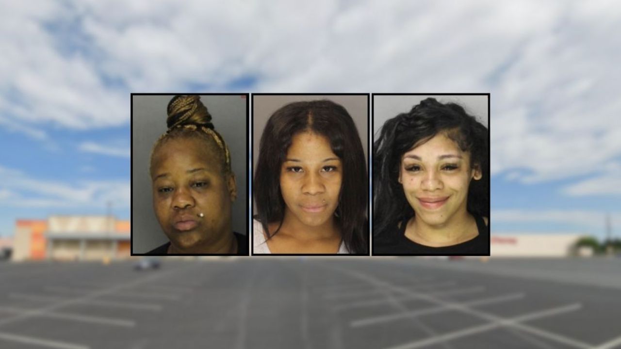 Infant Thrown From Stroller During Parking Lot Brawl at Pennsylvania Mall, Police Say