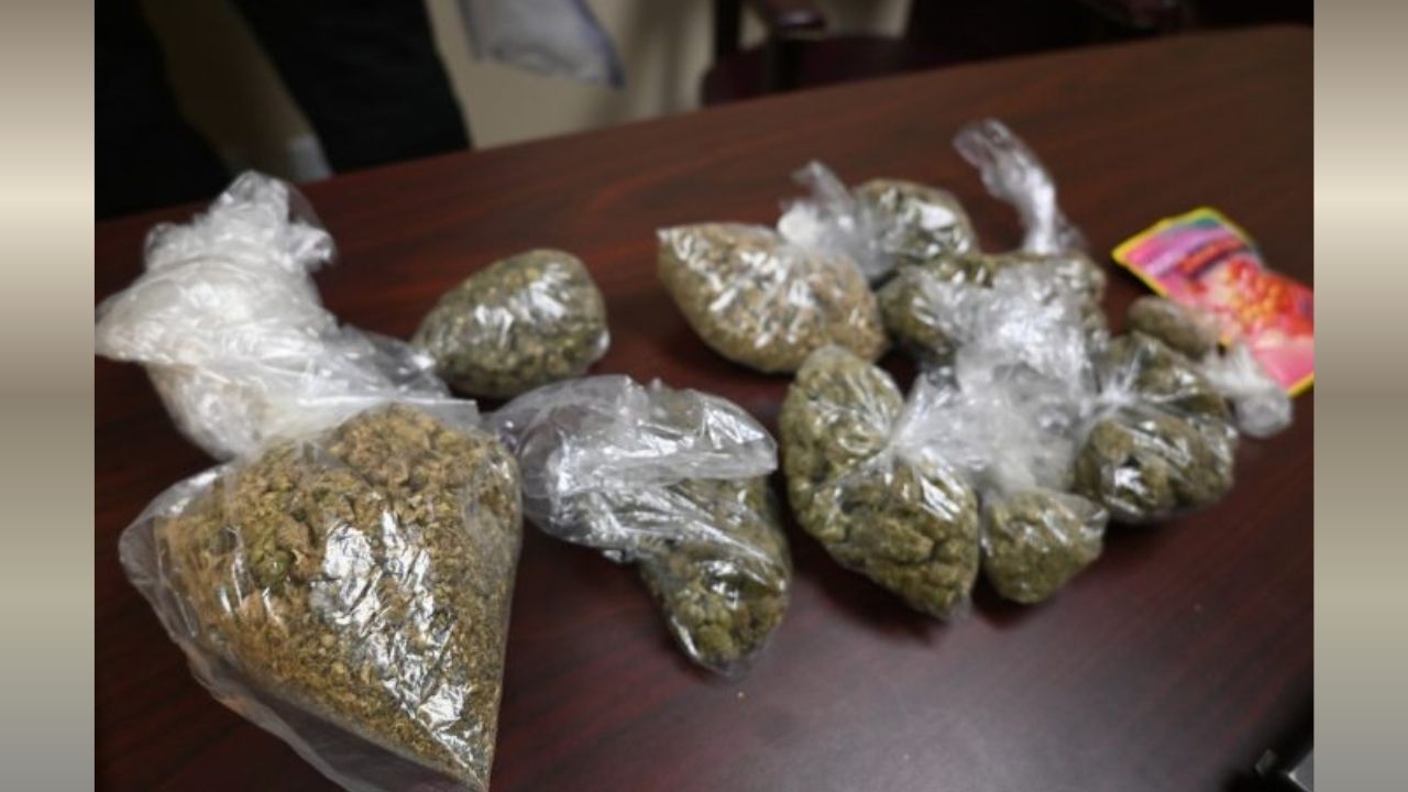 Noise Complaint Leads to Drug and Weapons Bust in Orangeburg County, Deputies Say