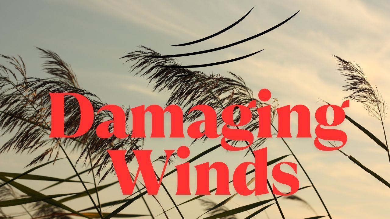 Powerful Storm to Bring Damaging Winds Across Southern Oregon, Travel and Power Disruptions Likely