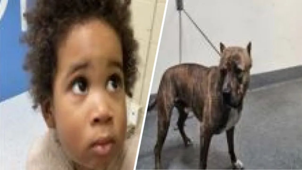 Toddler Found Abandoned in Vehicle After Failed Car Theft Attempt in Los Angeles Neighborhood