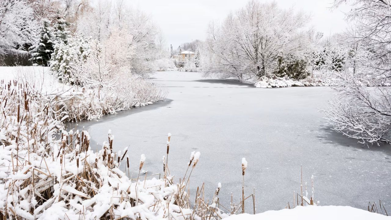 White Christmas Chances Narrow as Warming Trend Erodes Snow Cover Across Much of the U.S.