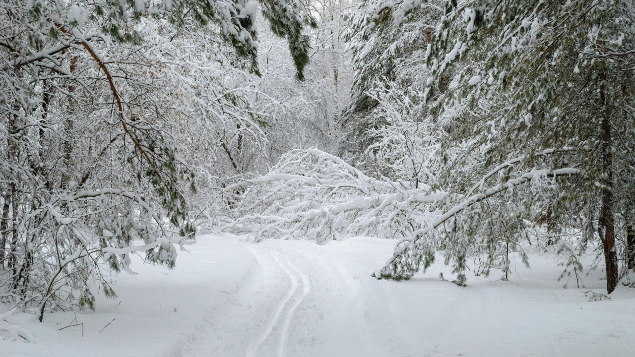 How to Measure Snowfall Accurately in Minneapolis During Winter Storms